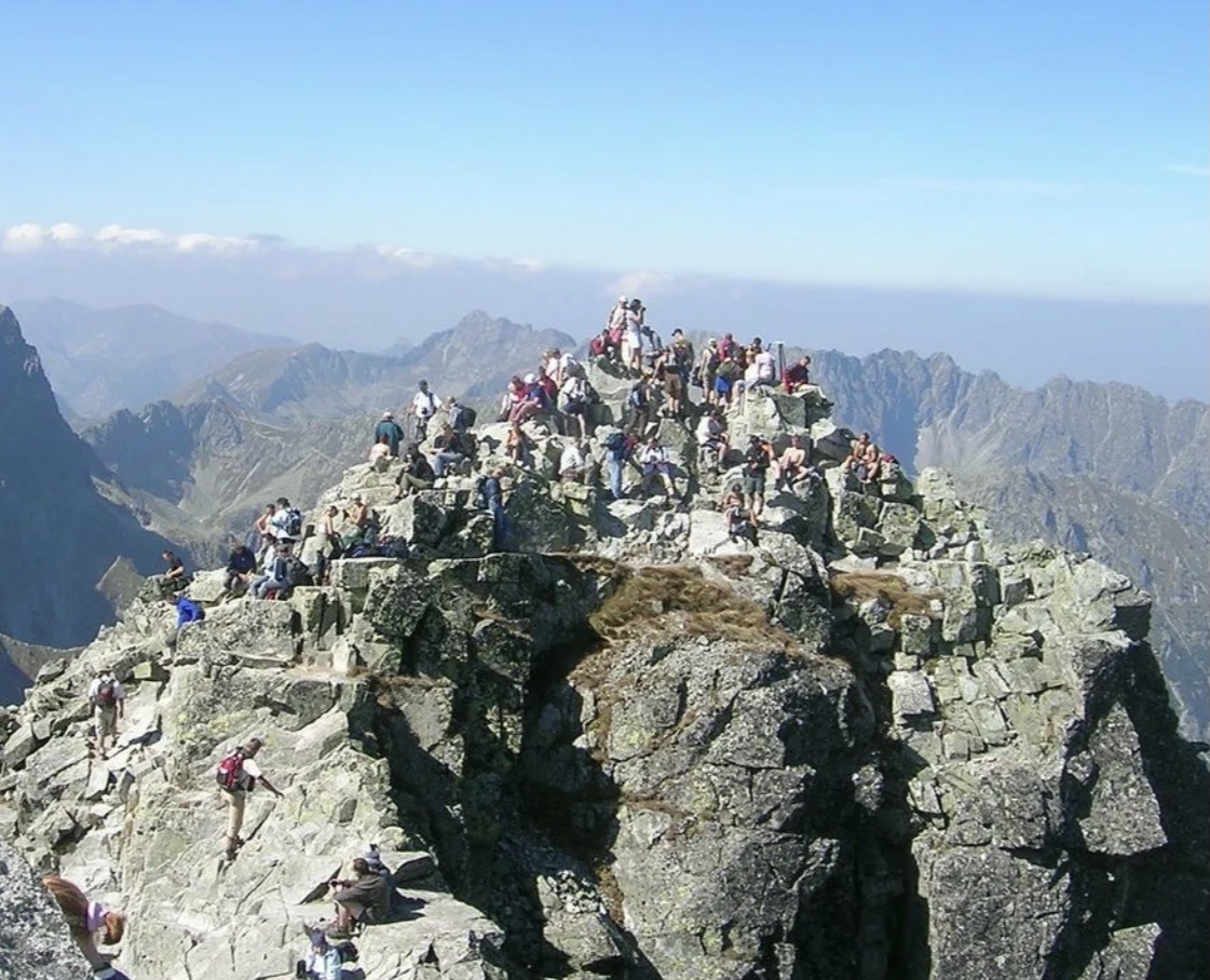 Фото с Яндекс.Картинки