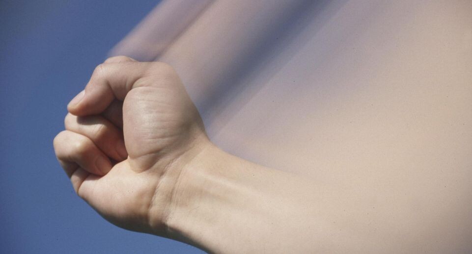    Voller Ernst/Siegfried Steinac / www.globallookpress.com