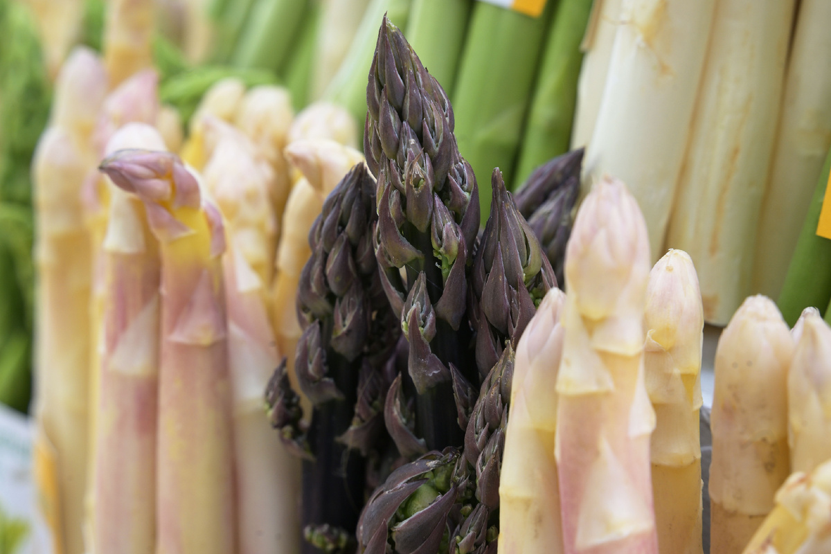 Фото: © Michael Bahlo/ dpa/ Global Look Press