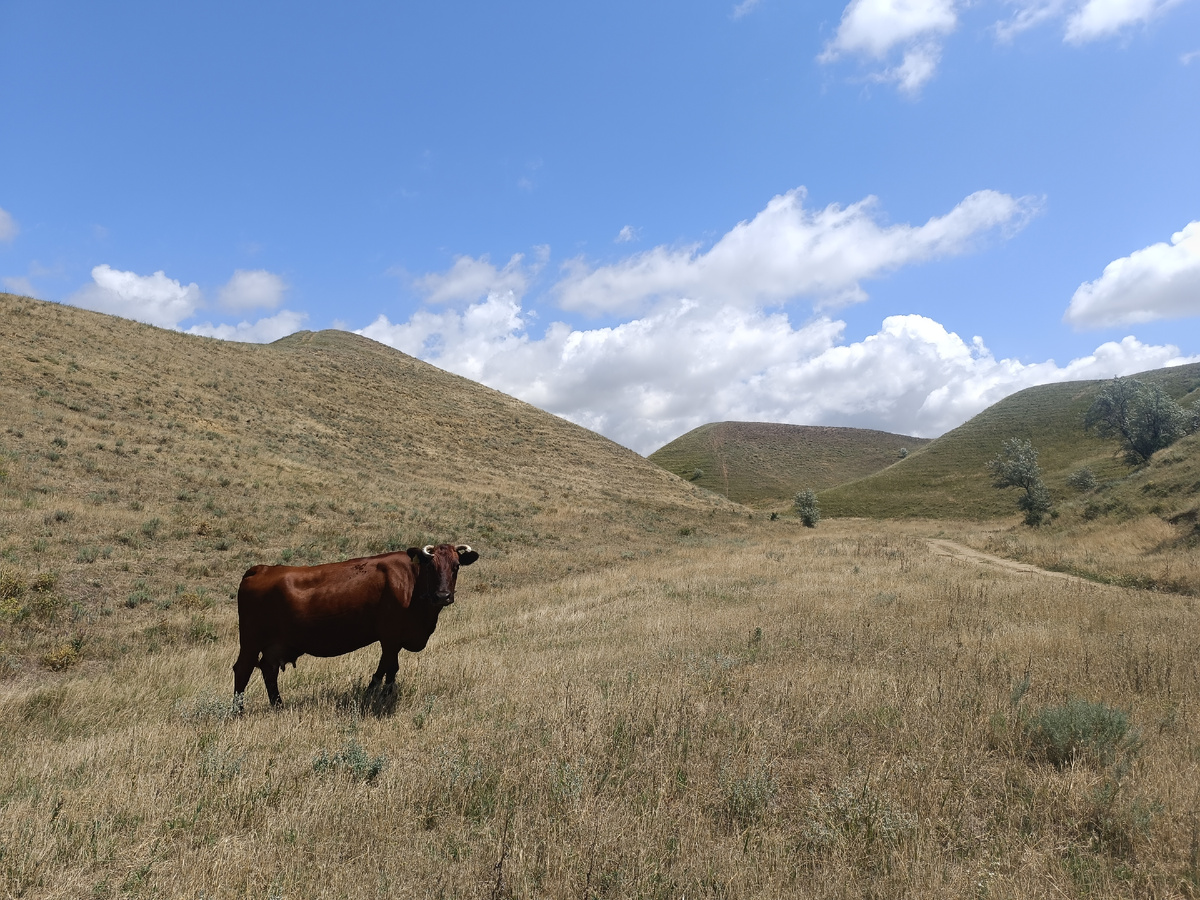 окраины Нижнезаморского 