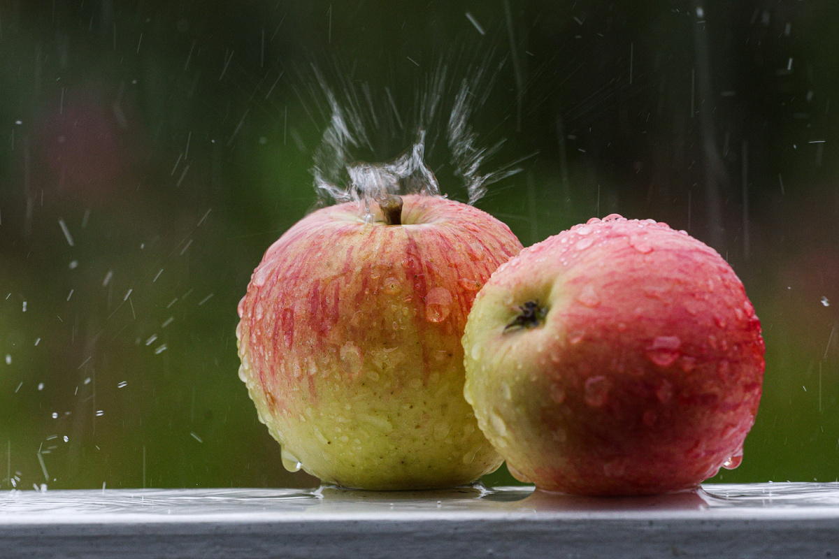 Фото: © Andrey Titov/ Business Online/ Global Look Press