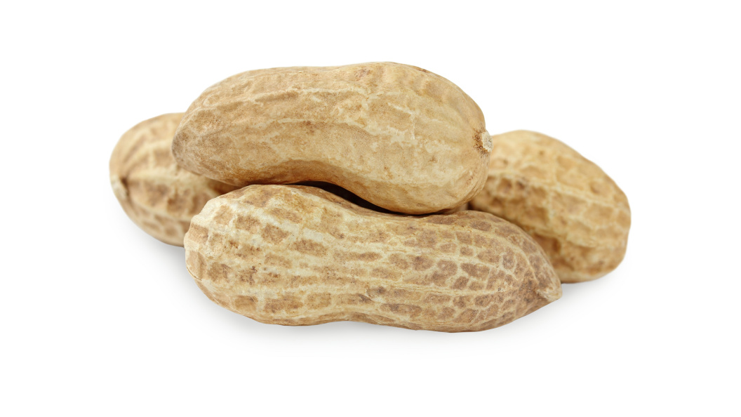    Galina Barbieri/Globallookpress