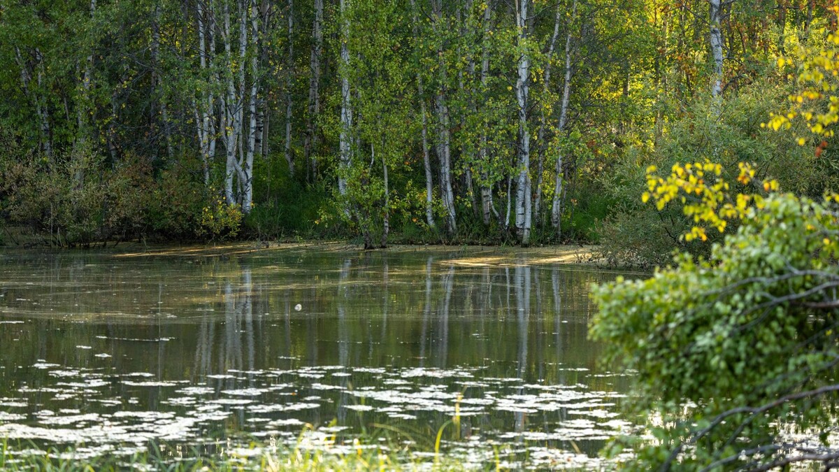    Фото: Федор Воронов / «Ямал-Медиа»