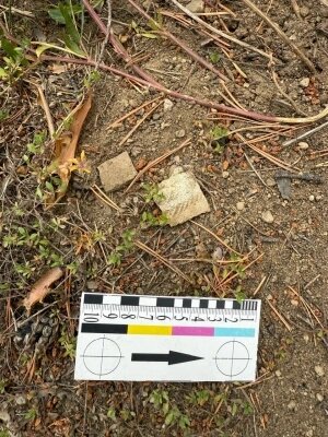    Фото: Из личного архивa/ Данил Лысенко