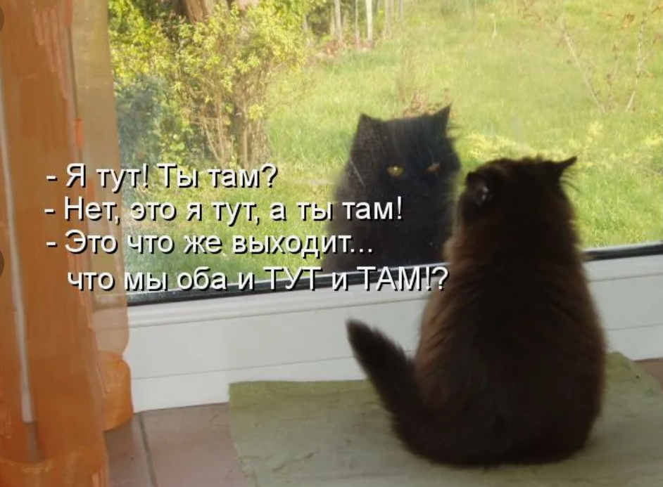 "смотрюсь в тебя, как в зеркало, до головокружения..."