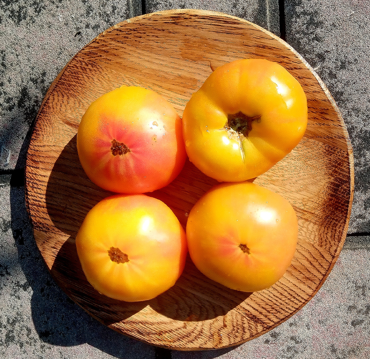 Фото автора от 23.07.2025г. Групповой портрет плодов томатного гнома Русский вихрь.