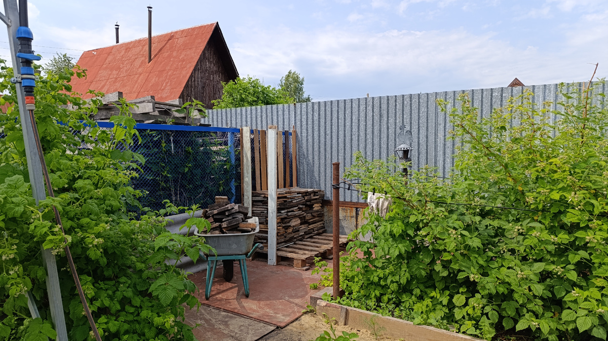 Начало 16.06.25