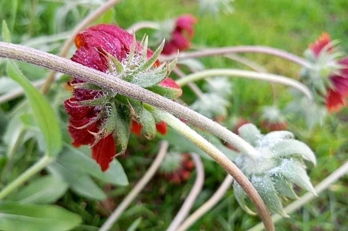    Синоптики рассказали о погоде к 1 сентября в Башкирии