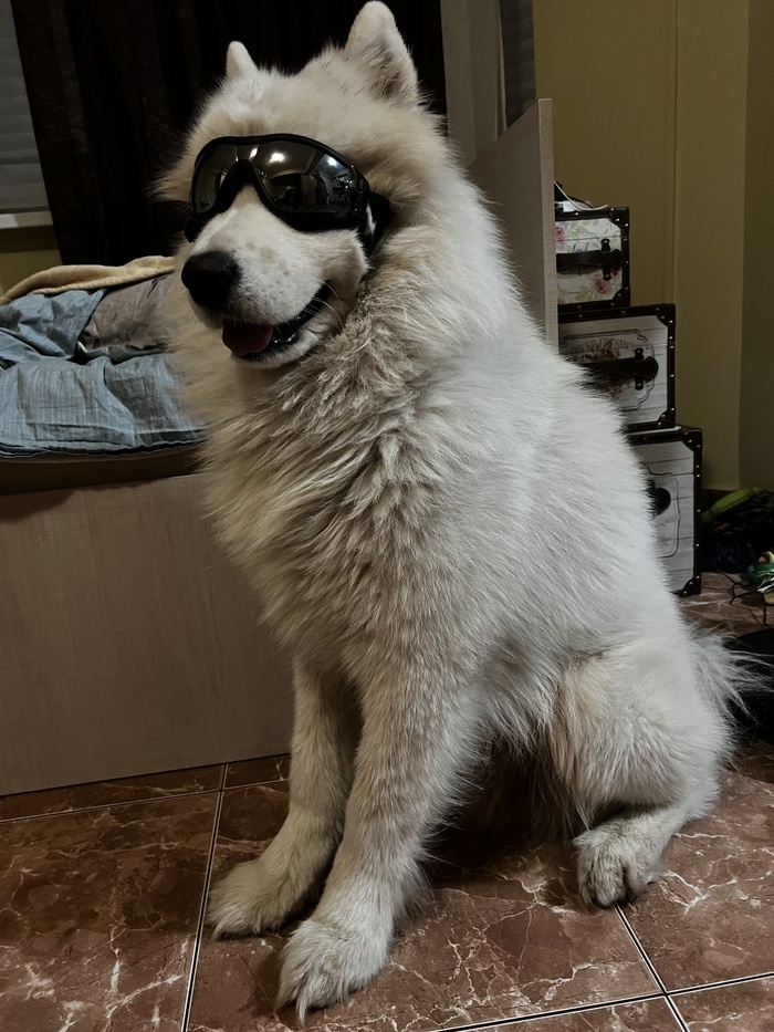 Листайте вправо, чтобы увидеть больше изображений