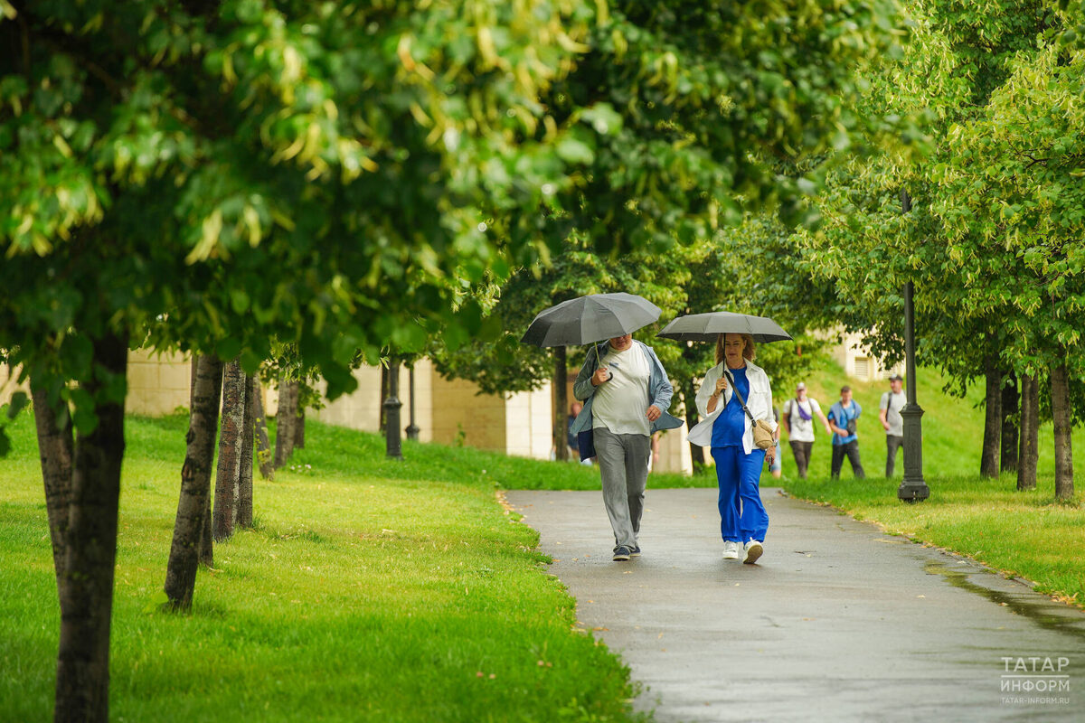 Фото: © Владимир Васильев / «Татар-информ»