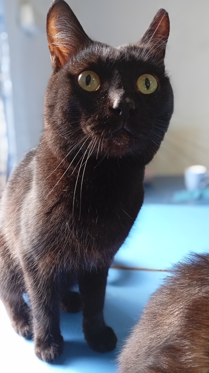 Фото из личного архива