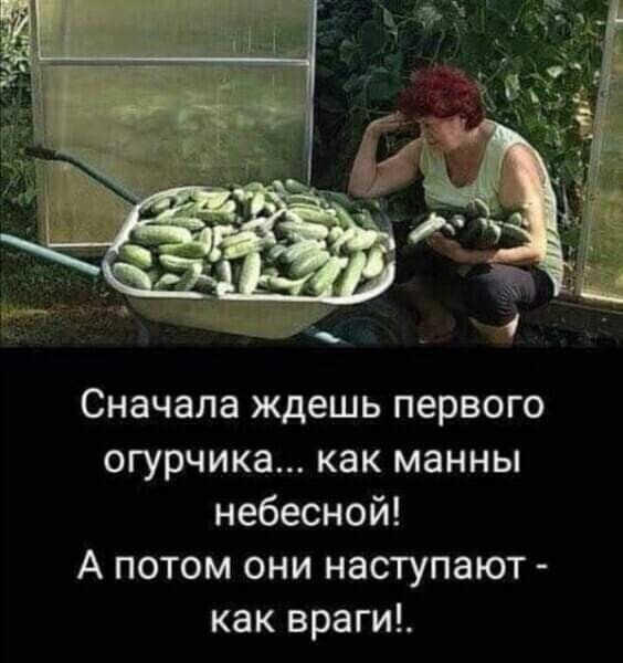 Вот это про меня