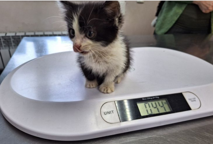    Фото: АО "Экология"