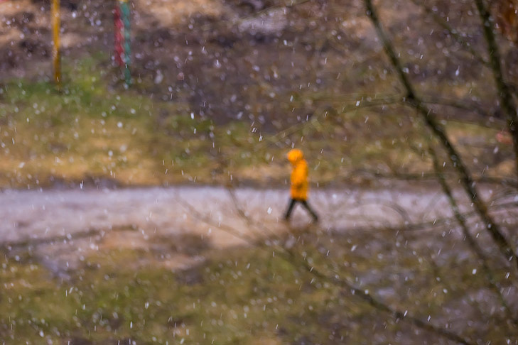    Фото Андрея Заржецкого
