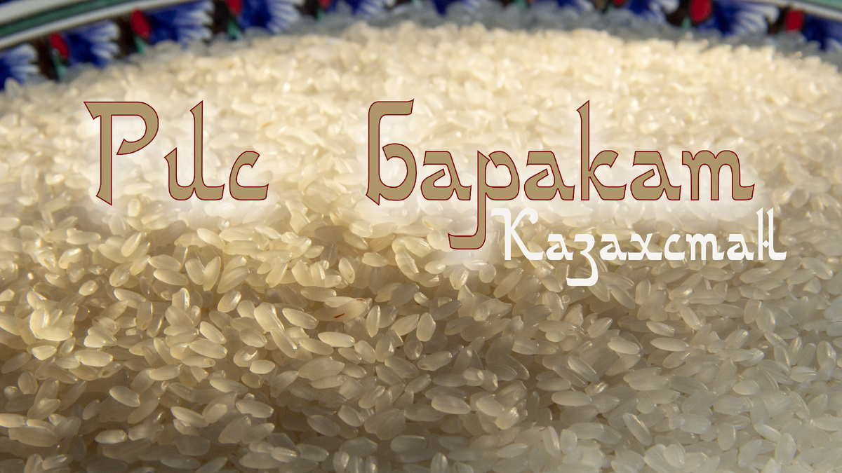 Баракат Достык