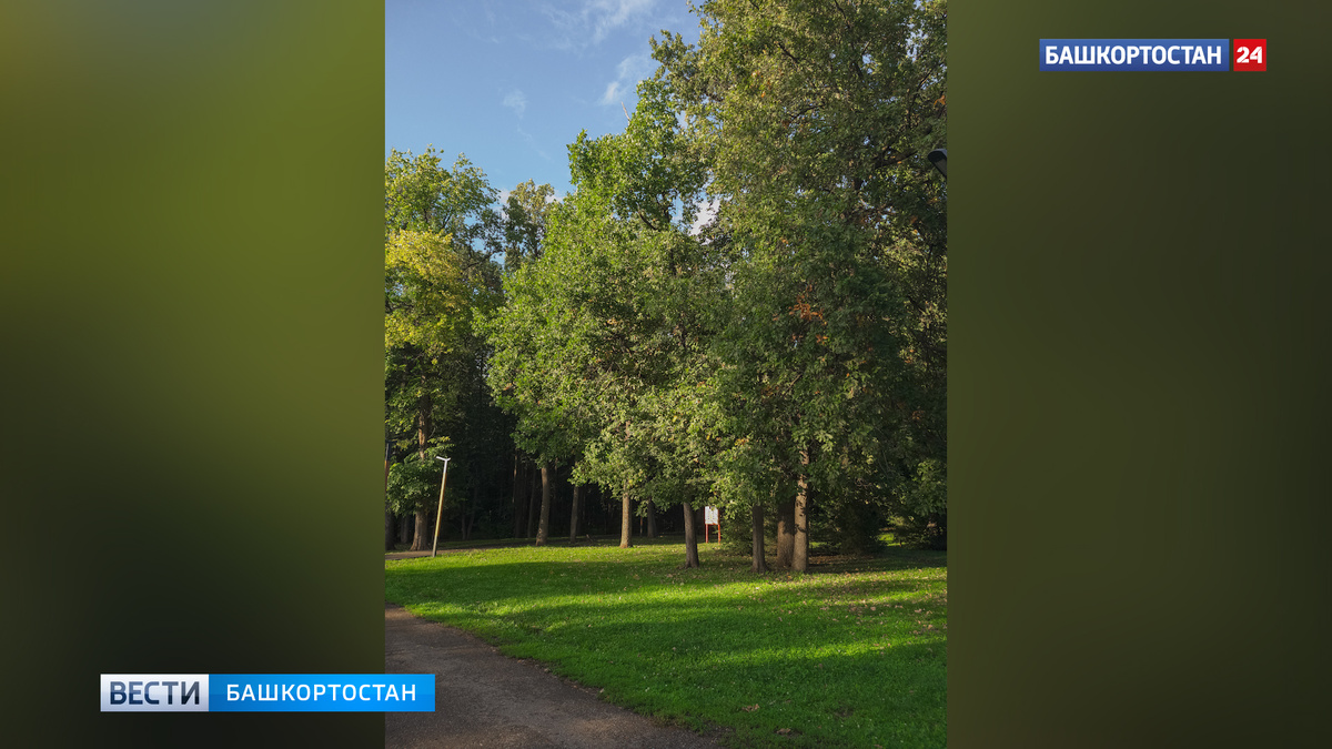    После прохладных дней в Башкирию придет теплая погода