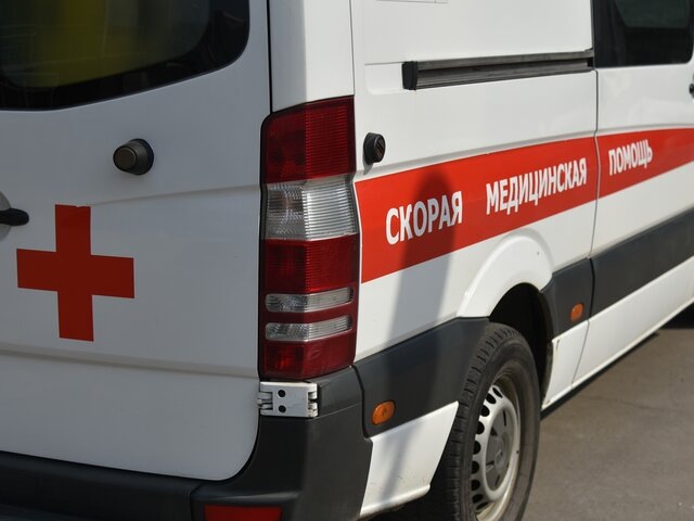    Фото: Москва 24/Антон Великжанин