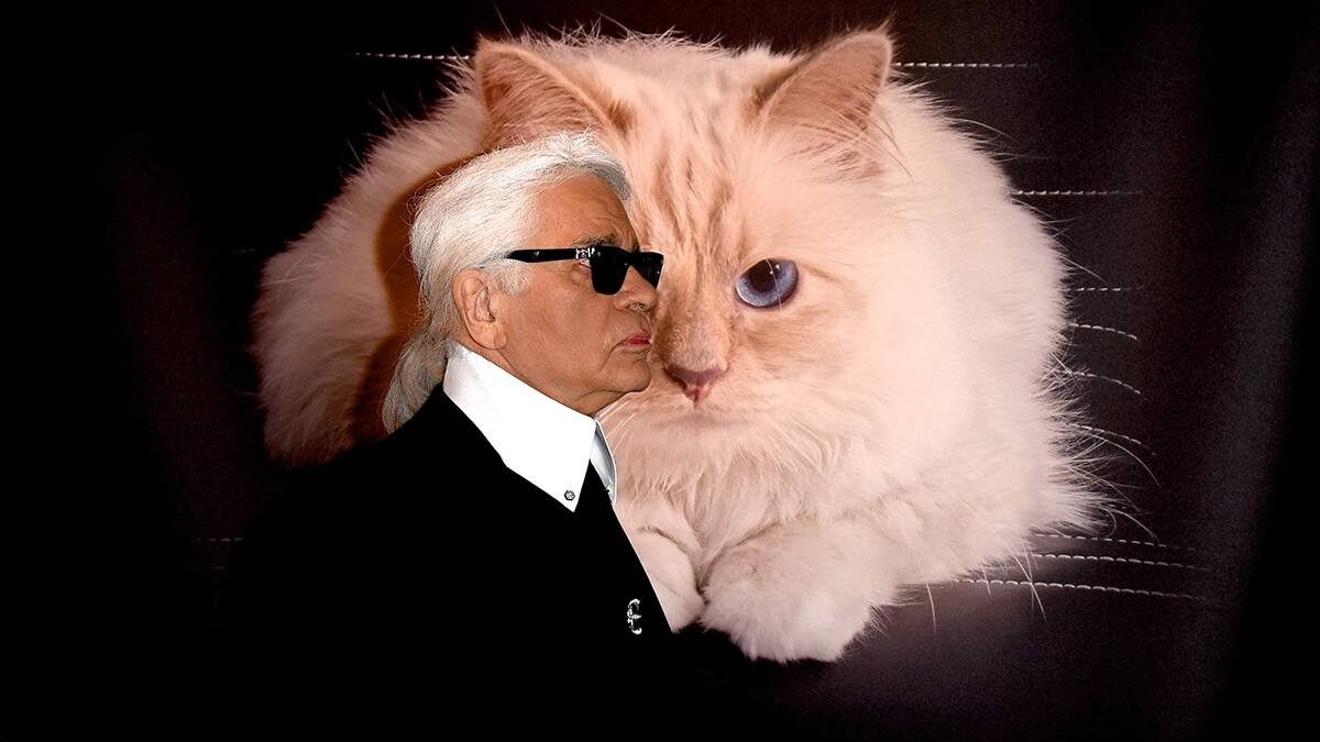    Фото: picture alliance/ТАСС