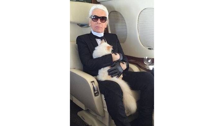  Фото: соцсети