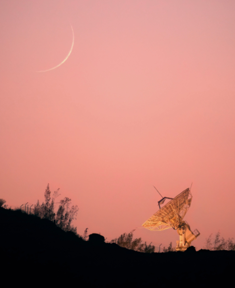 Фото: Marina Prol  