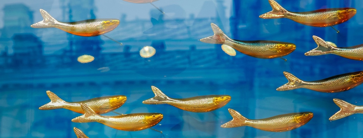    Автор фото: shutterstock.com