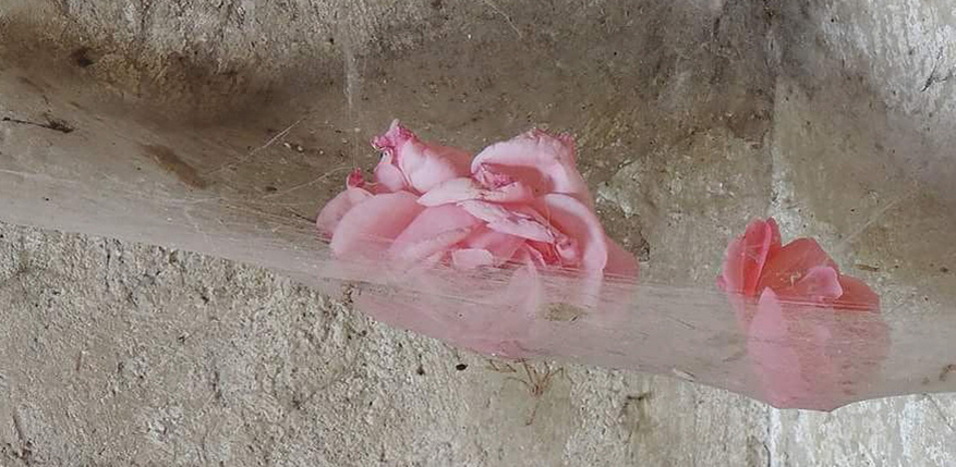 Легкие души