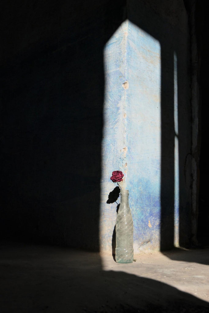 "Любовь, что движет солнце..."