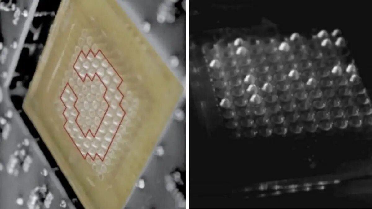 Фото: Ronald H. Heisser