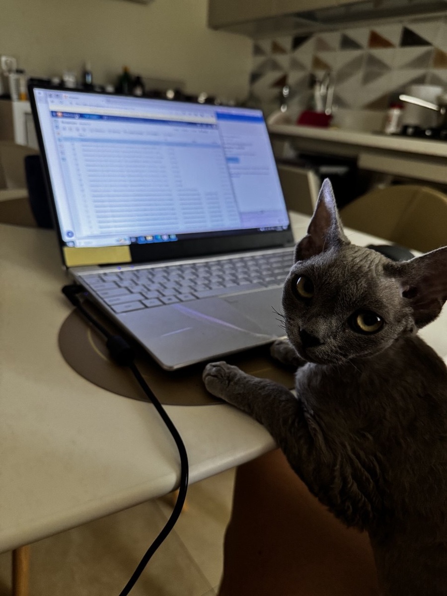 Учит эксель 