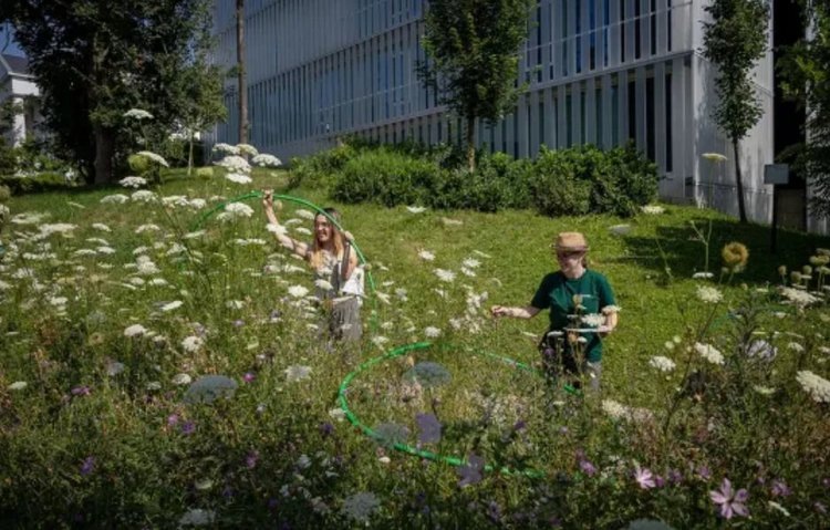    Фото: Kаllai Mаrton