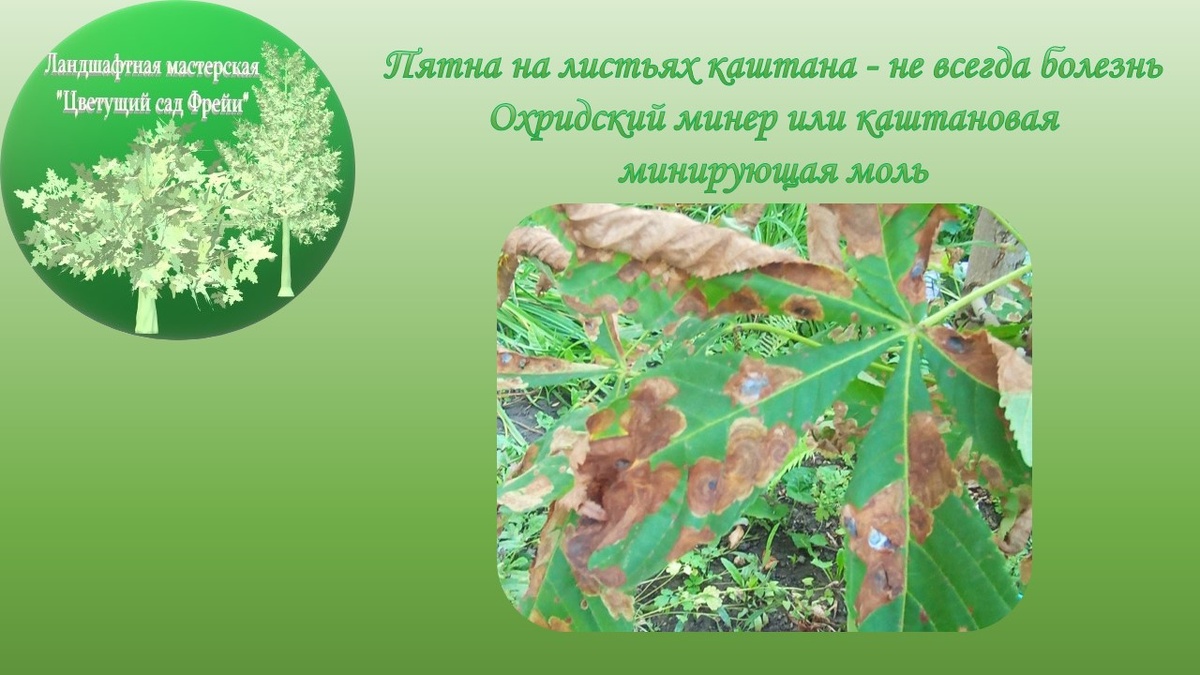 Фото автора.