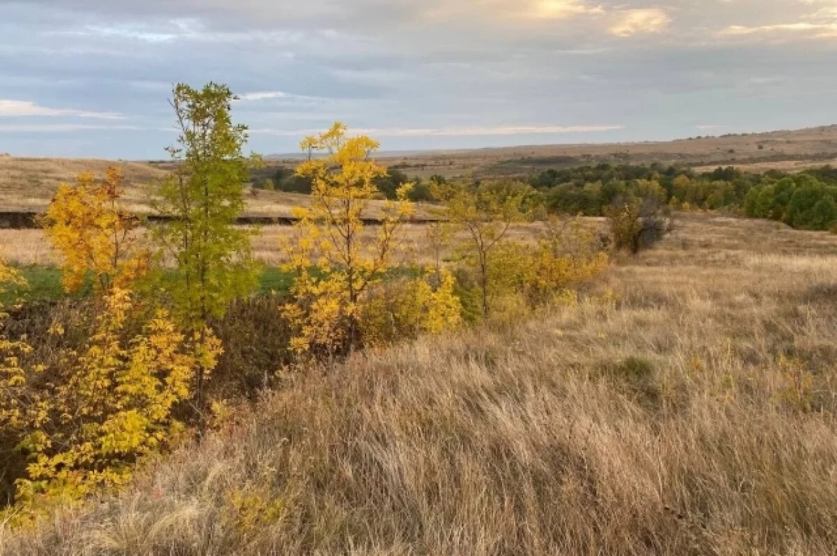    В Новосибирске осень-2025 может стать рекордно теплой