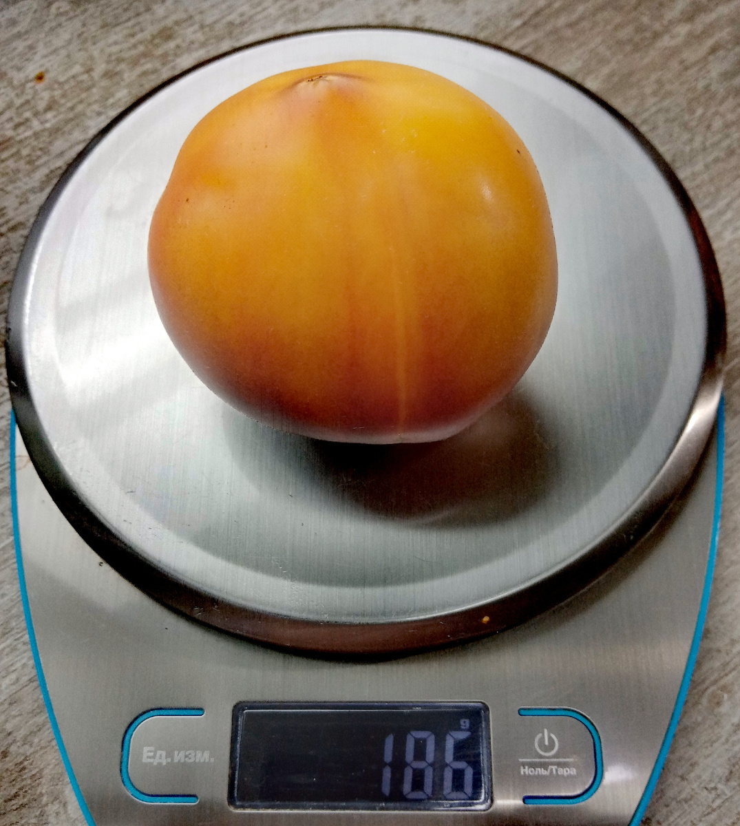 Фото автора от 12.08.2025г. Вес плода 186 граммов.