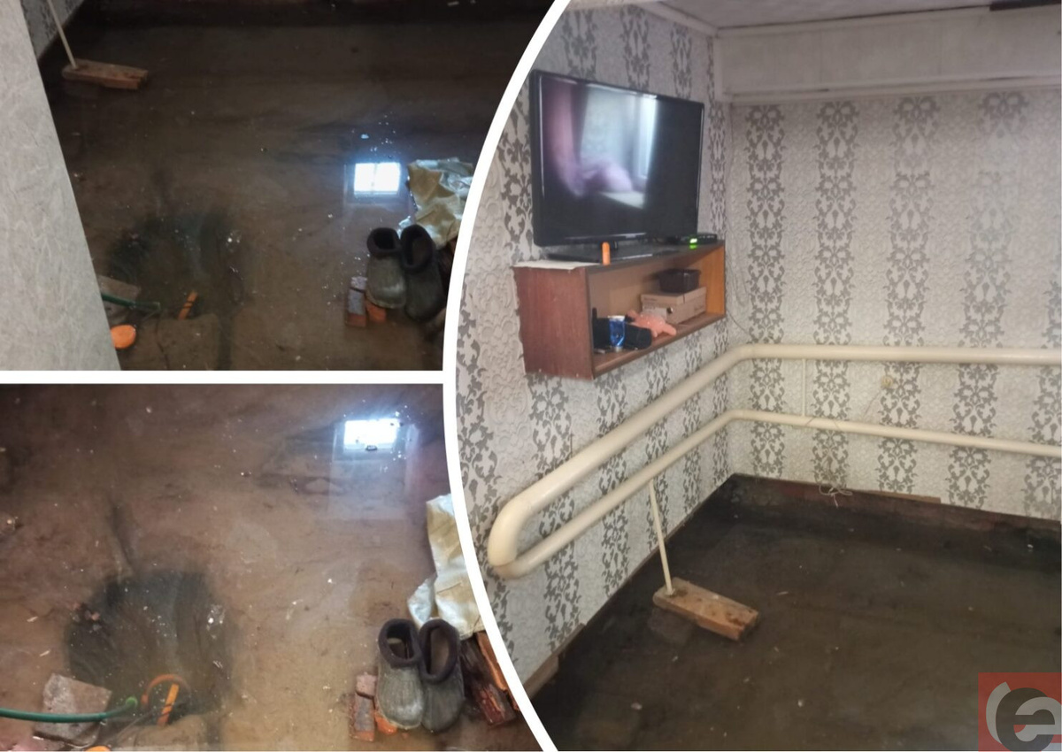    Фото: читатель Прецедента