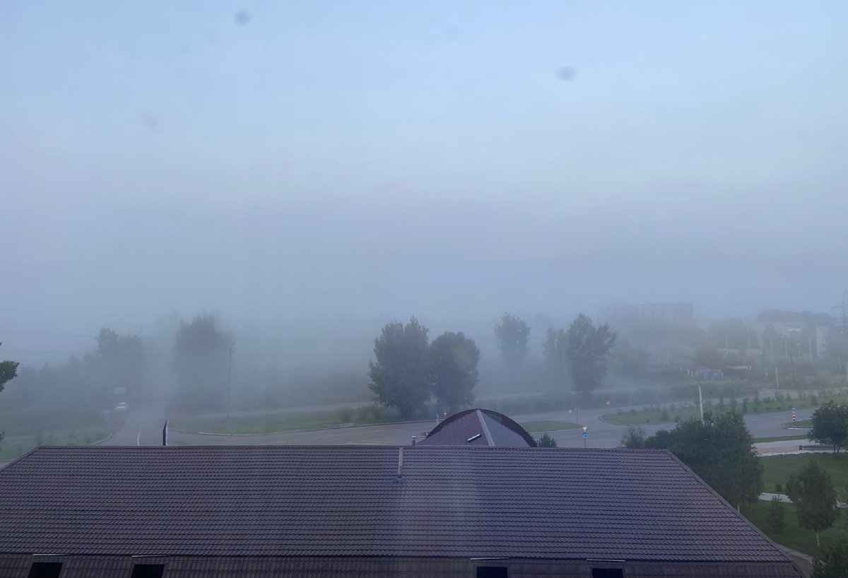 Утро, вид из окна