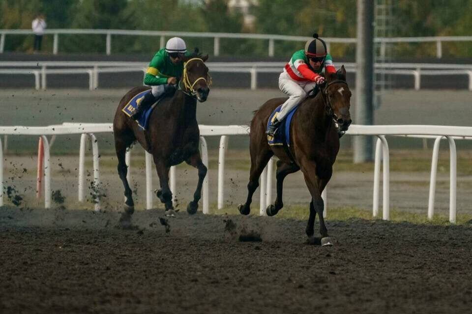 Фото: © Фото: Салават Камалетдинов / «Татар-информ»