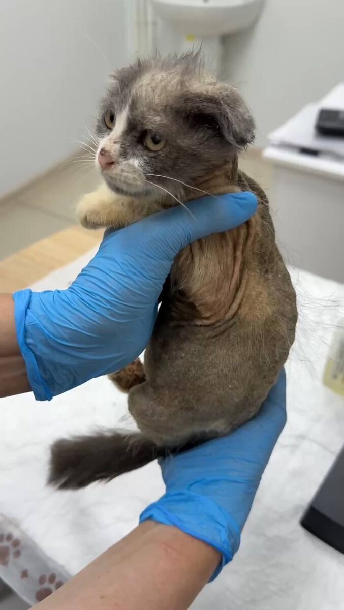 Вот такая Чуча. Фото из архива автора