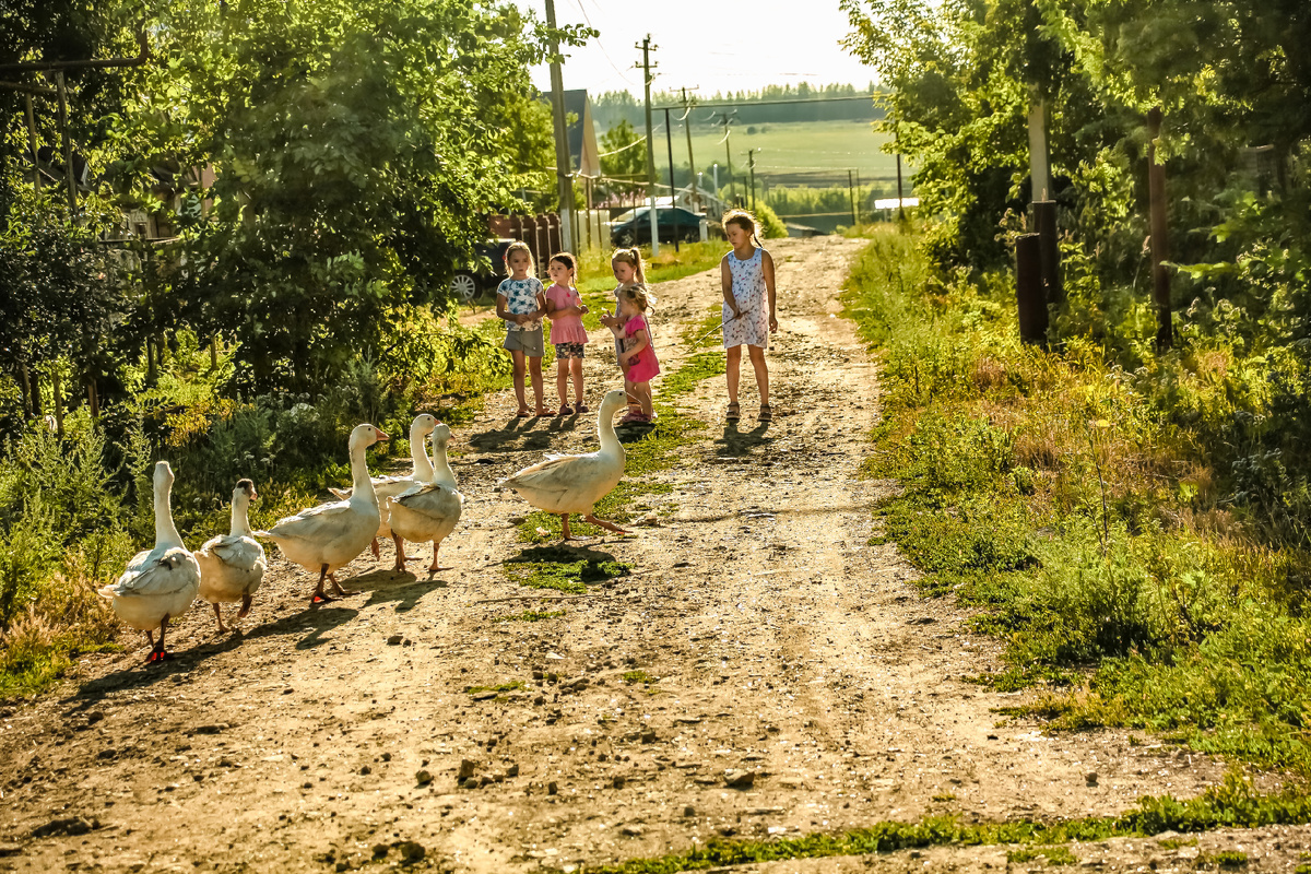 Вечерний свет. Длинные тени. Свет теплый. если фотографировать так, чтобы лучи солнца освещали  модель сзади- получается прекрасный естественный контровой свет.