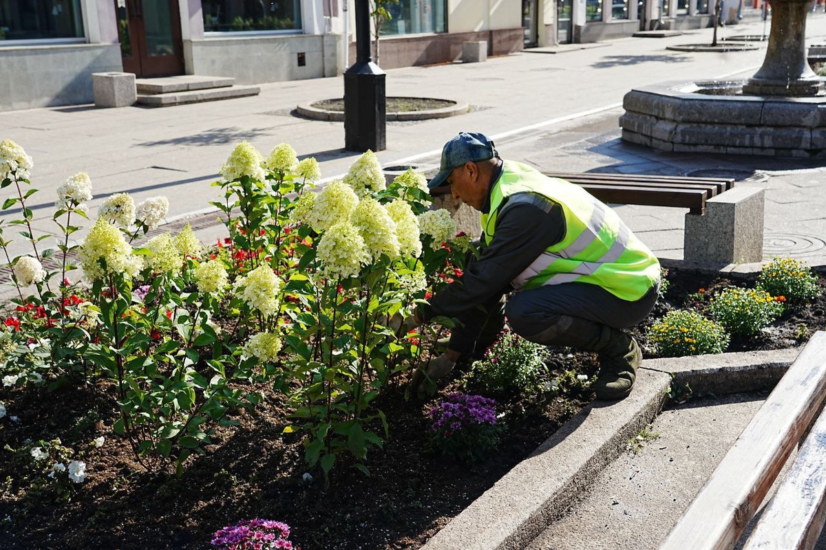    Фото из ТГ-канала Ивана Носкова