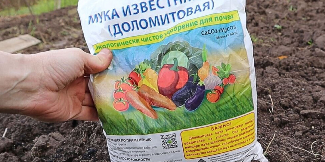 Доломитка и «минералка» осенью. Почему вместе — враги, а не друзья. Расставляем точки над i.