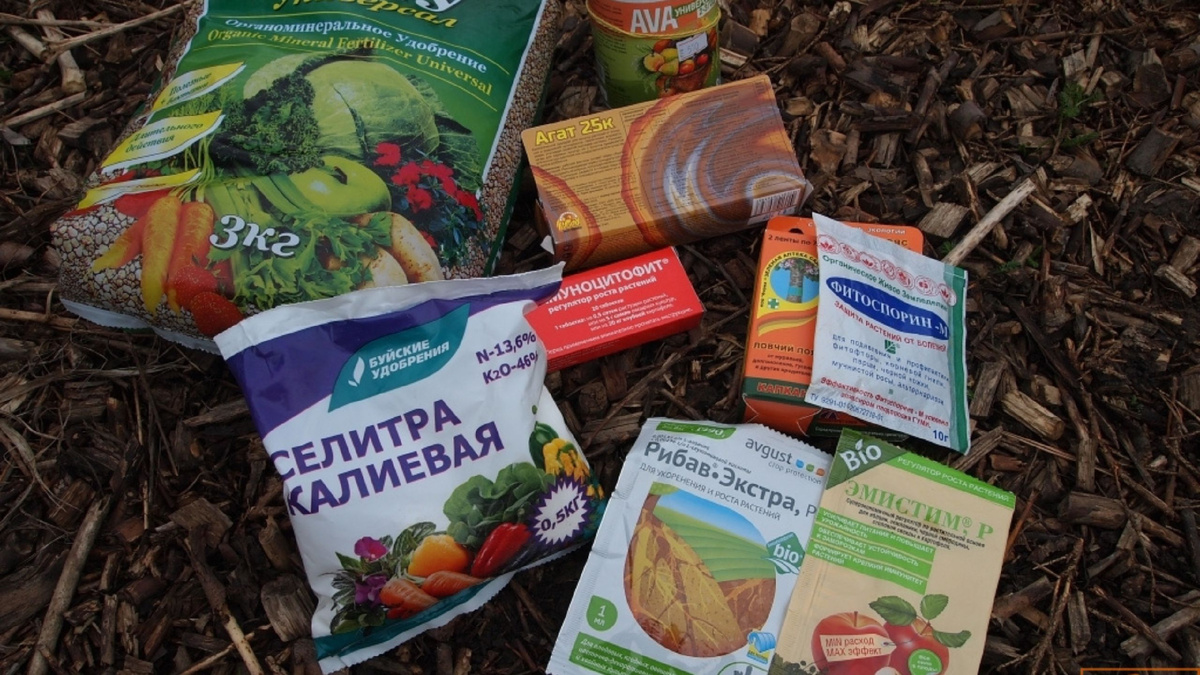 gardenschool.ru