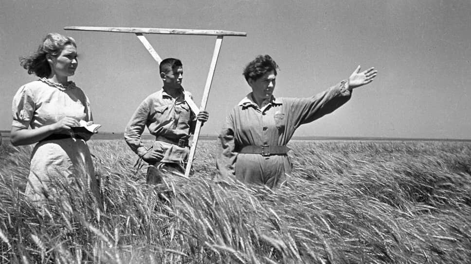 Прасковья Ангелина, известная всей стране как Паша (справа), чаще появлялась в поле за рулем трактора, чем просто пешком в обществе подруг-механизаторов.📷Фото: Георгий Зельма / РИА НОВОСТИ