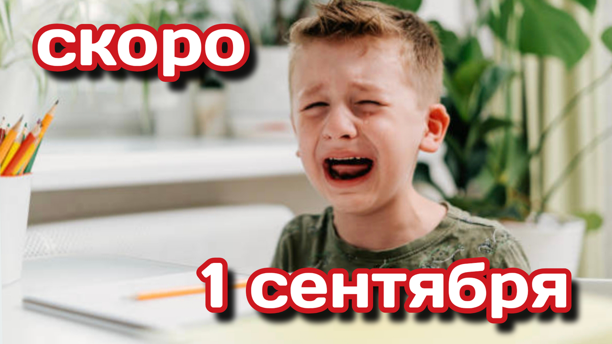 🎒 Через 2 дня первоклашки плачут, а родители — радуются. И это нормально.

Школа начинается, а с этого:
🔹 Утренние пробки от родителей с детьми
🔹 «Мам, я не хочу вставать!» в 6:50 утра
🔹 Учителя, который ещё мыслительно на каникулах

А вы в теме? 

Как вы переживаете приближение 1 сентября?
🙂 — Я готов(а)! Уже купил(а) тетрадки и мечтаю о тишине дома
😱 — Паникую, будто сам(а) иду в первый класс
😴 — Ничего не думаю, я ещё отдыхаю

👉 Пишите в комментариях: Первый день – это как предисловие к интересной книге. Главное – успешно пережить главу под названием «Подъем в 7 утра»! 😉 Как Вы справляетесь с этим?🤔🤔🤔