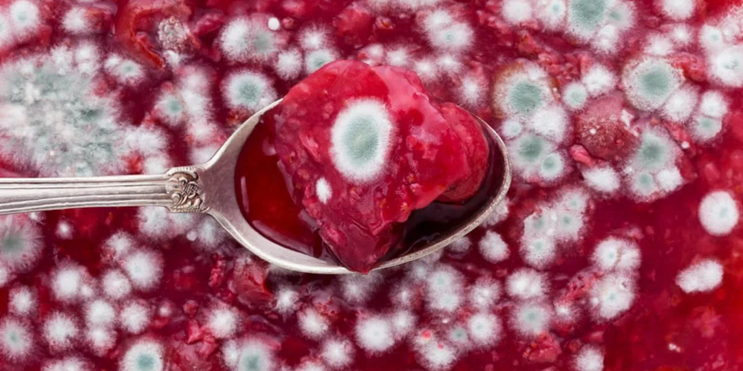 Во всём виноват E200: почему у крепостных крестьян варенье без сахара стояло год, а у помещика с сахаром плесневело за месяц