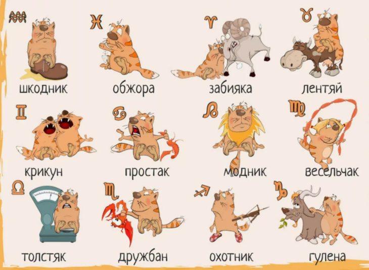 чутокюморв нам не помешает))