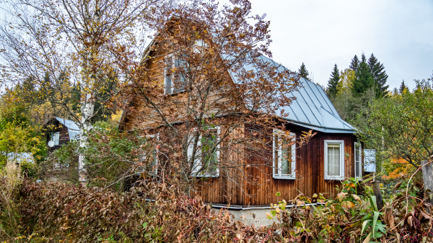    Фото: ИЗВЕСТИЯ/Константин Кокошкин