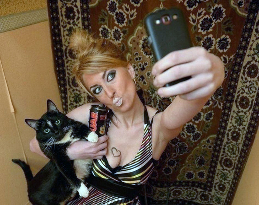 Бедный котик