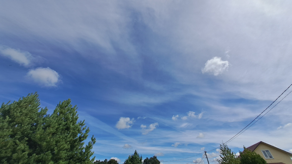 Слева домики среди лесочка (фото автора)