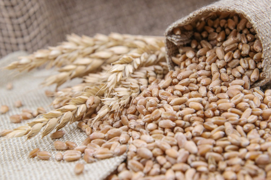    Сергей Булкин/NEWS.ru