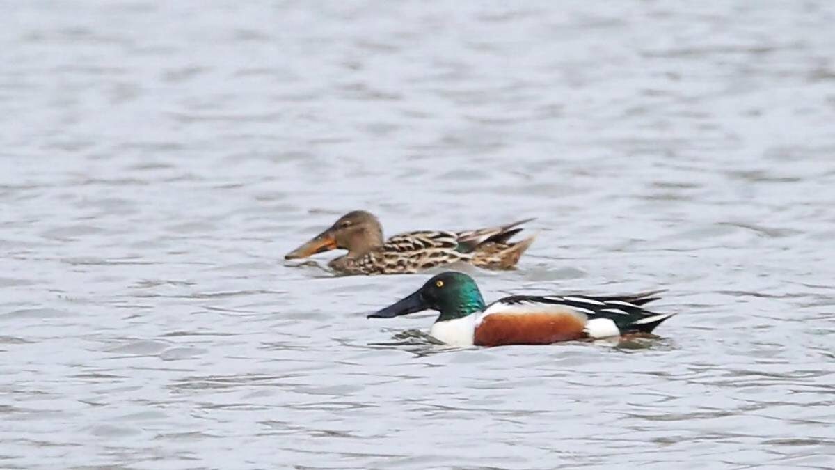    Фото: Пресс-служба Департамента природопользования и охраны окружающей среды города Москвы